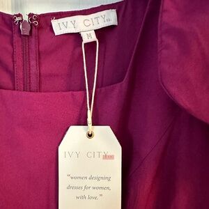 NWT Ivy City pleated dress